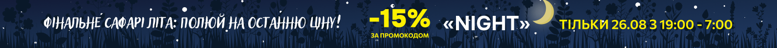 Нічні години