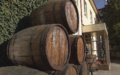Виробництво винний завод КОБЛЕВО