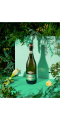 Фото Ароматизований напій на основі білого вина Marengo Fragolino Bianco зі смаком полуниці 0.75л №2