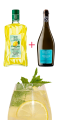 Коктейльний набір Limoncello Spritz (Лімончелло Шприц), 14 порцій